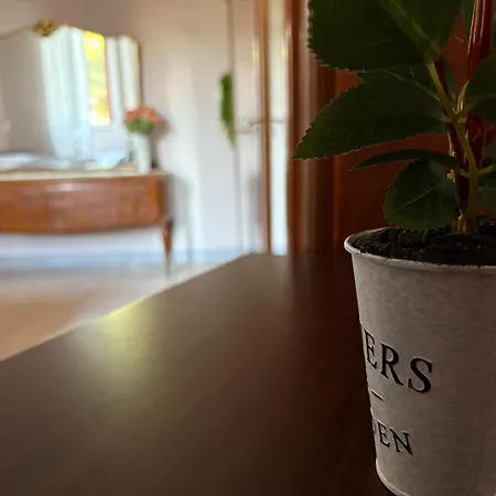 Appartamento In - Lovely Near The Airport *